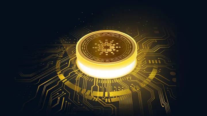 加密货币应用场景_分析加密货币在医疗行业的潜在应用:提升支付效率与服务体验_加密货币的价值支撑