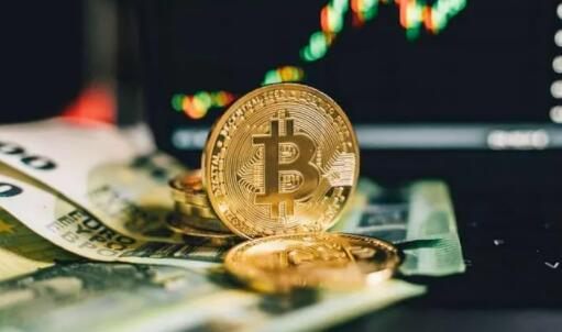 数字货币定制_选择数字货币的品牌与市场定位_定量的数字货币