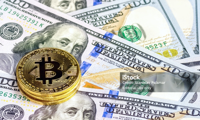 波卡生态的投资价值是什么?波卡生态链项目盘点