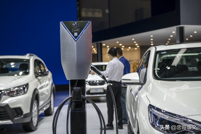 新能源汽车市场不稳定性的深层次原因分析_层次分析_定性数据统计分析