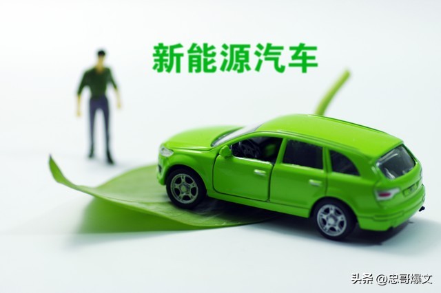 层次分析_定性数据统计分析_新能源汽车市场不稳定性的深层次原因分析