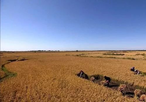 以太坊和去中心化自治组织（DAO）的关系：未来治理的新模式_以太坊和去中心化自治组织（DAO）的关系：未来治理的新模式_以太坊和去中心化自治组织（DAO）的关系：未来治理的新模式