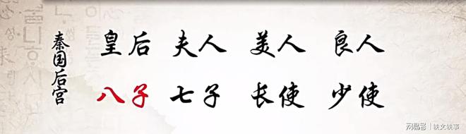 秦始皇的后宫与权力斗争_秦始皇的后宫是最壮观的_秦始皇的后宫嫔妃