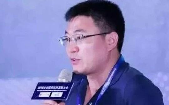 比特币以太坊行情分析_比特币以太坊最新资讯_从比特币到以太坊：最新数字货币项目的市场表现与前景分析