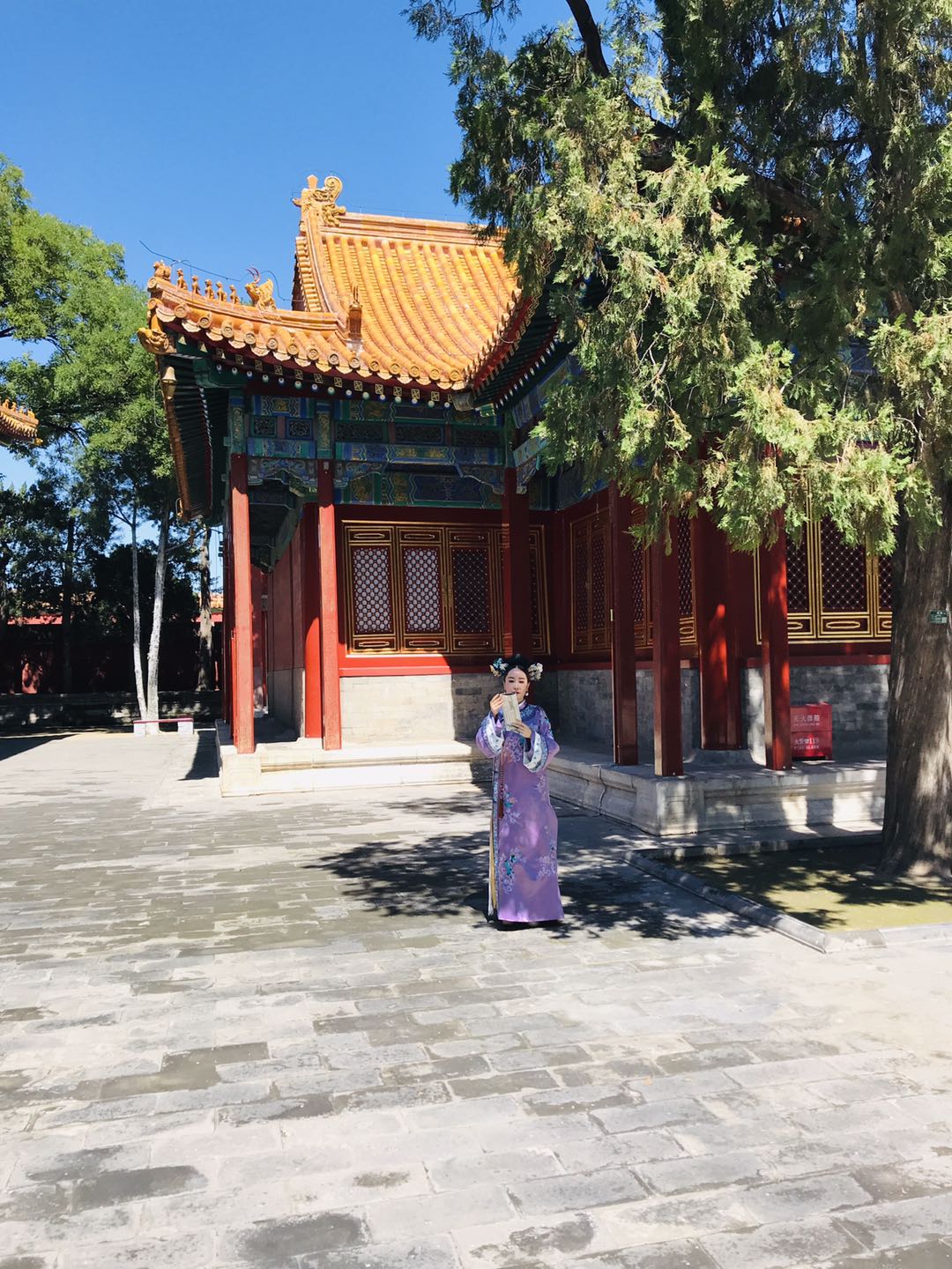 历史评价姚广孝_历史对姚广孝评价_姚广孝的智慧与历史启示