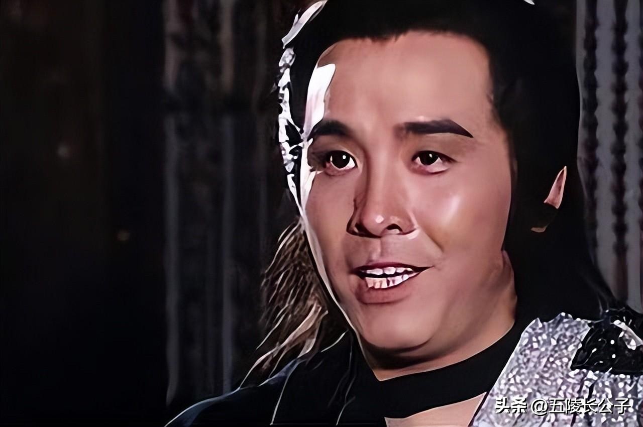 刘德华武侠片_刘德华的经典武侠片与角色_刘德华主演的武打片