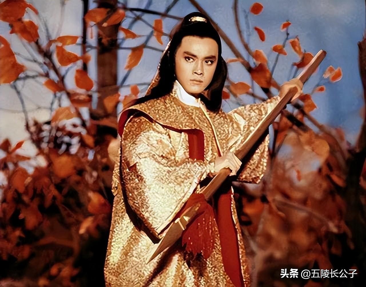 刘德华主演的武打片_刘德华武侠片_刘德华的经典武侠片与角色