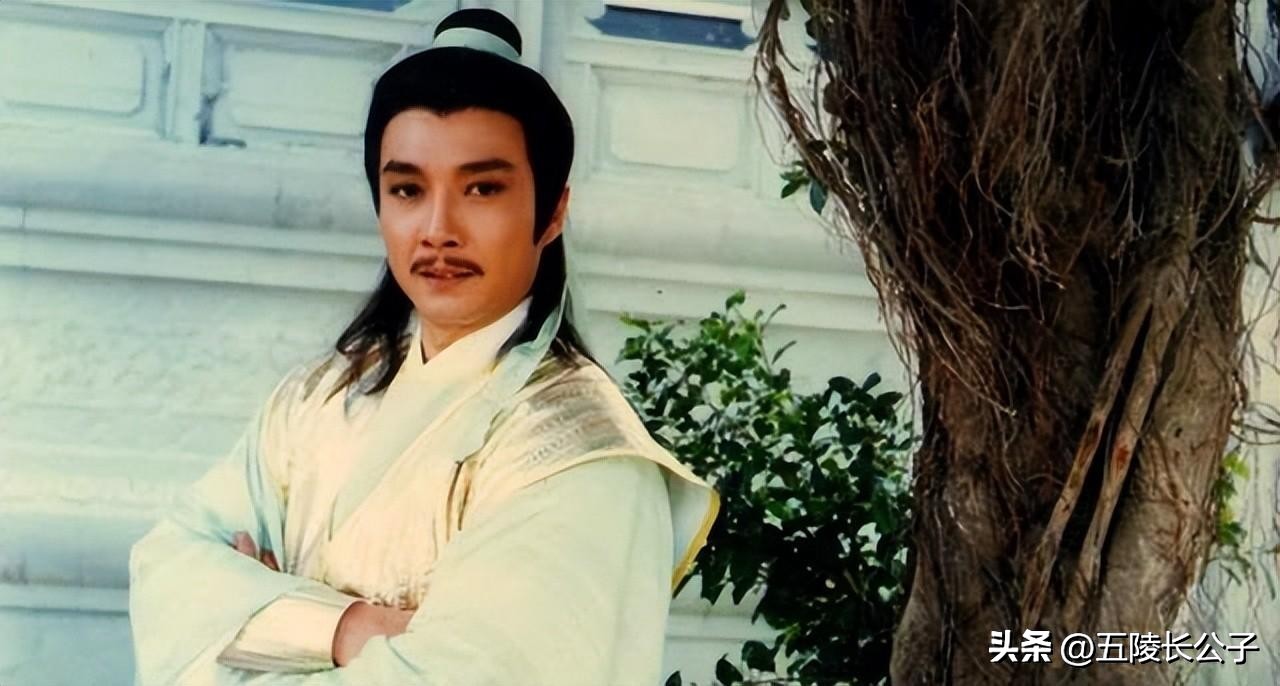 刘德华武侠片_刘德华的经典武侠片与角色_刘德华主演的武打片