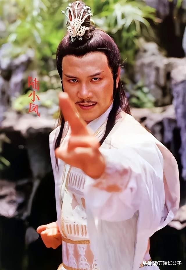 刘德华武侠片_刘德华主演的武打片_刘德华的经典武侠片与角色