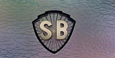 刘德华的经典武侠片与角色_刘德华主演的武打片_刘德华的武侠