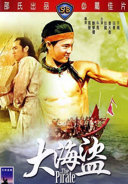 刘德华主演的武打片_刘德华的经典武侠片与角色_刘德华的武侠