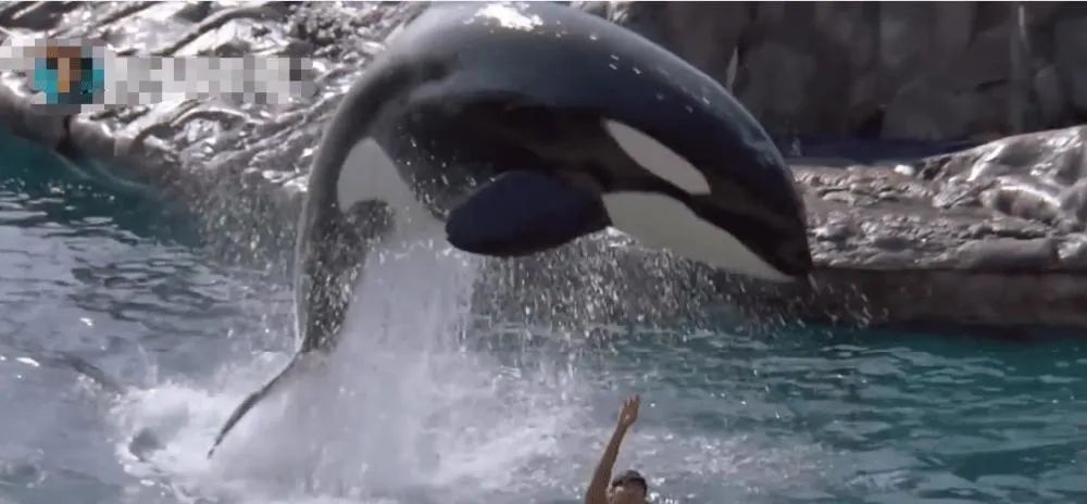 刘德华的经典武侠片与角色_刘德华主演的武打片_刘德华的武侠