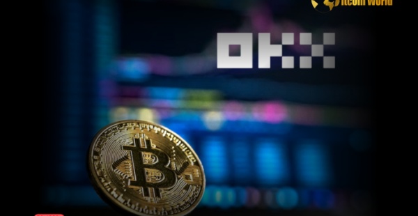 欧意身份验证器(虚拟币交易所大全)(145)