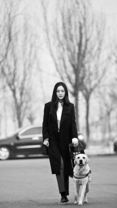 关之琳的影视作品中的温情故事_关之琳经典电影_关之琳情感电影