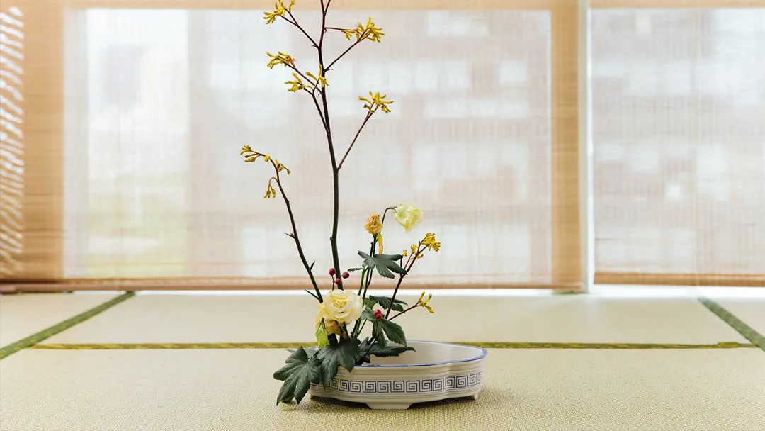 鬼谷子的哲学思想与影响_鬼谷子思想的弊端_鬼谷子的哲学