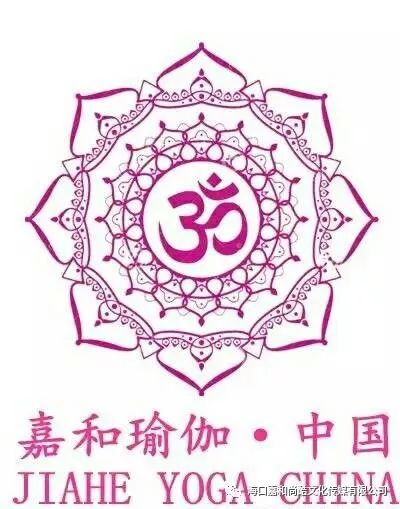 金巧巧工作室_金巧巧在不同领域的探索与创新_播放金巧巧