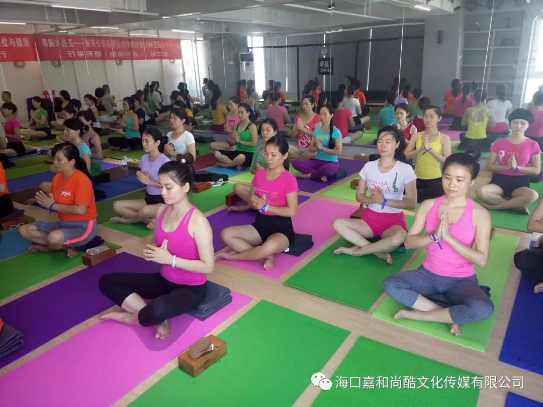 金巧巧工作室_金巧巧在不同领域的探索与创新_播放金巧巧