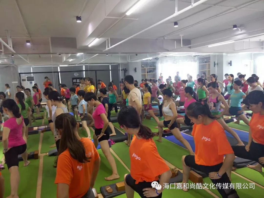 金巧巧在不同领域的探索与创新_播放金巧巧_金巧巧工作室