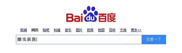 金巧巧介绍_金巧巧在不同领域的探索与创新_金巧巧出席活动