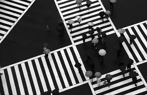 雷军与生态链的构建_雷军创业团队如何组建_雷军的生态布局