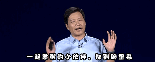 雷军的生态布局_雷军创业团队如何组建_雷军与生态链的构建