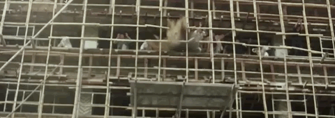 成龙的动作设计与电影幕后_成龙幕后电影动作设计师是谁_成龙幕后电影动作设计图