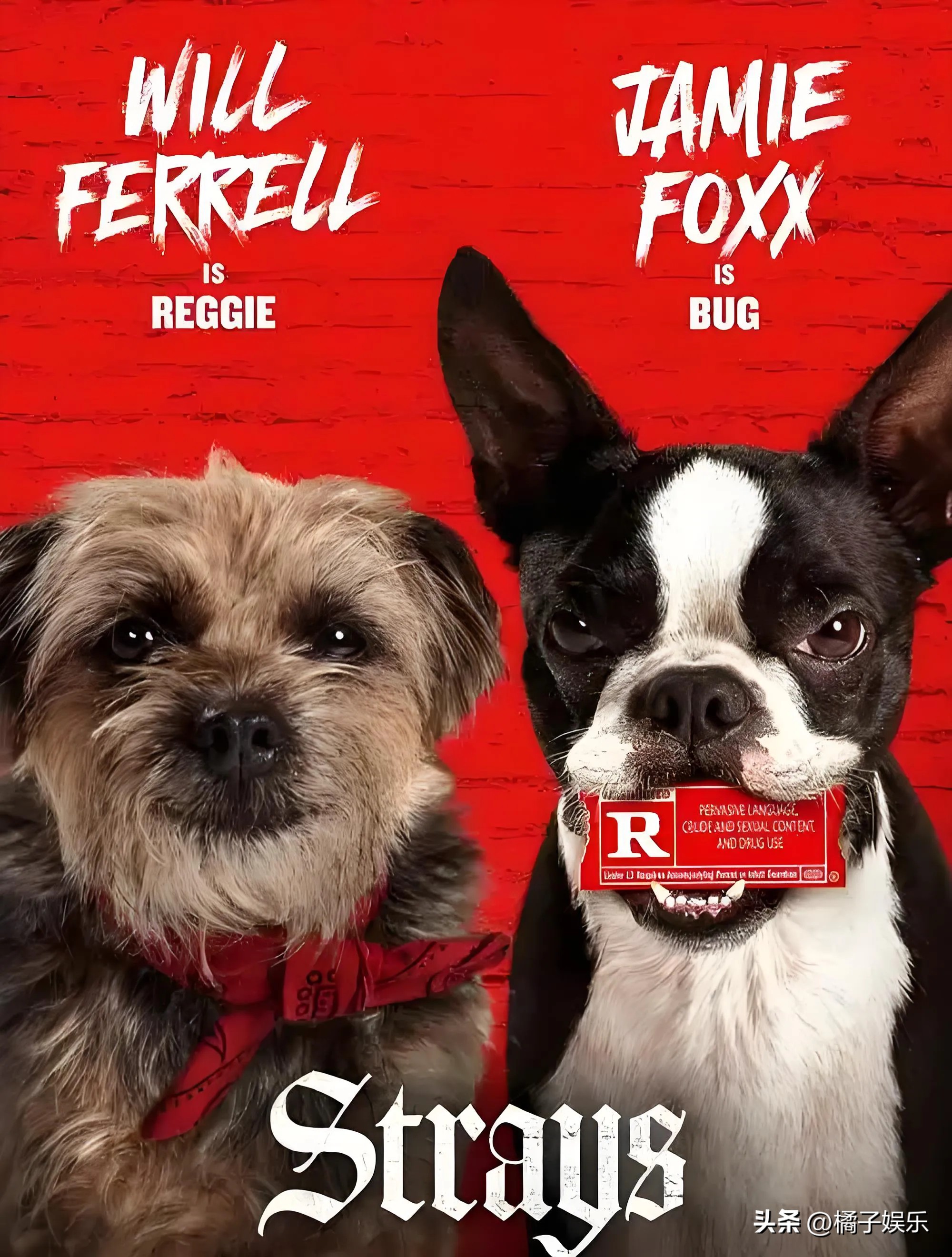 张子枫的男朋友是谁_张子枫_张子枫男朋友叫什么名字