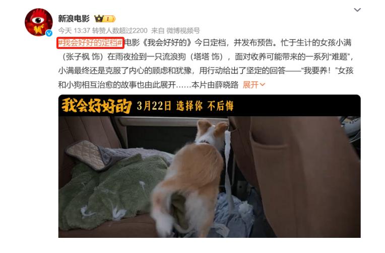 张子枫男朋友叫什么名字_张子枫演的电影_张子枫