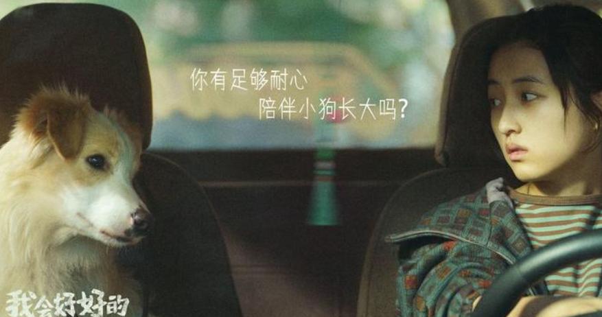 张子枫男朋友叫什么名字_张子枫演的电影_张子枫