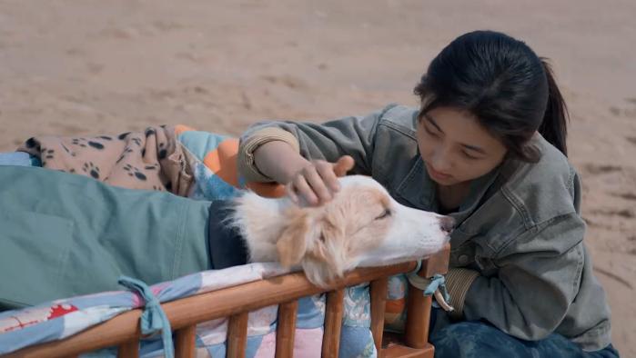 张子枫_张子枫男朋友叫什么名字_张子枫演的电影