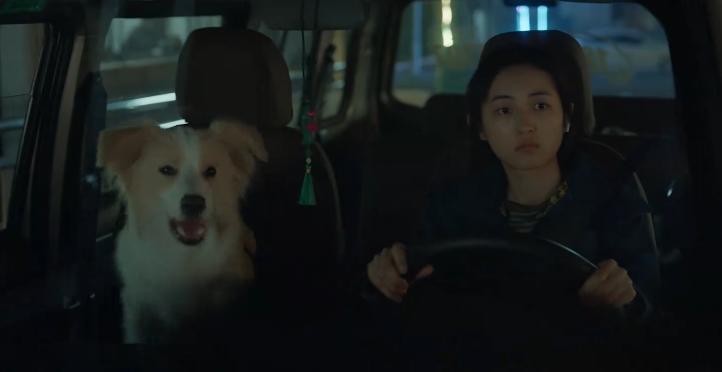 张子枫_张子枫演的电影_张子枫男朋友叫什么名字