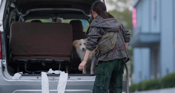 张子枫男朋友叫什么名字_张子枫演的电影_张子枫