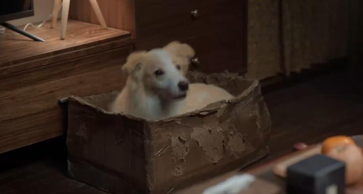 张子枫演的电影_张子枫_张子枫男朋友叫什么名字