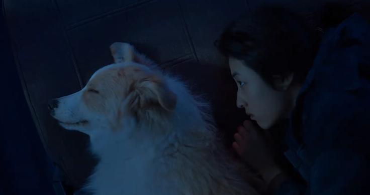 张子枫男朋友叫什么名字_张子枫演的电影_张子枫