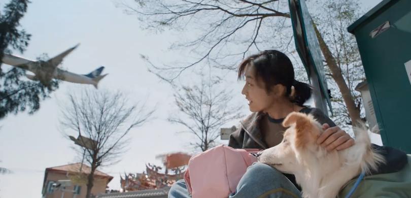 张子枫_张子枫男朋友叫什么名字_张子枫演的电影