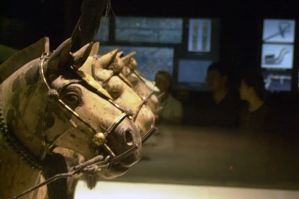 六国谁统一了天下_统领六国_王翦在统一六国中的关键作用