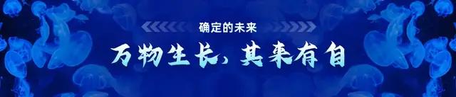 理解数字货币在国际关系中的作用:如何影响国家间的经济与政治格局_什么是货币数字时代_货币政治