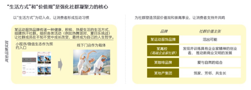 虚拟币交流群骗你没商量_虚拟币的群_建立虚拟货币投资的社群：分享知识与经验以提升整体收益