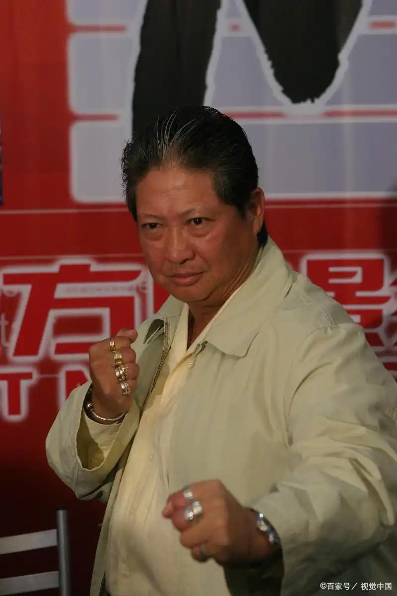 武术华语电影甄子丹大师演员表_甄子丹:华语电影的武术大师_武术华语电影甄子丹大师是谁