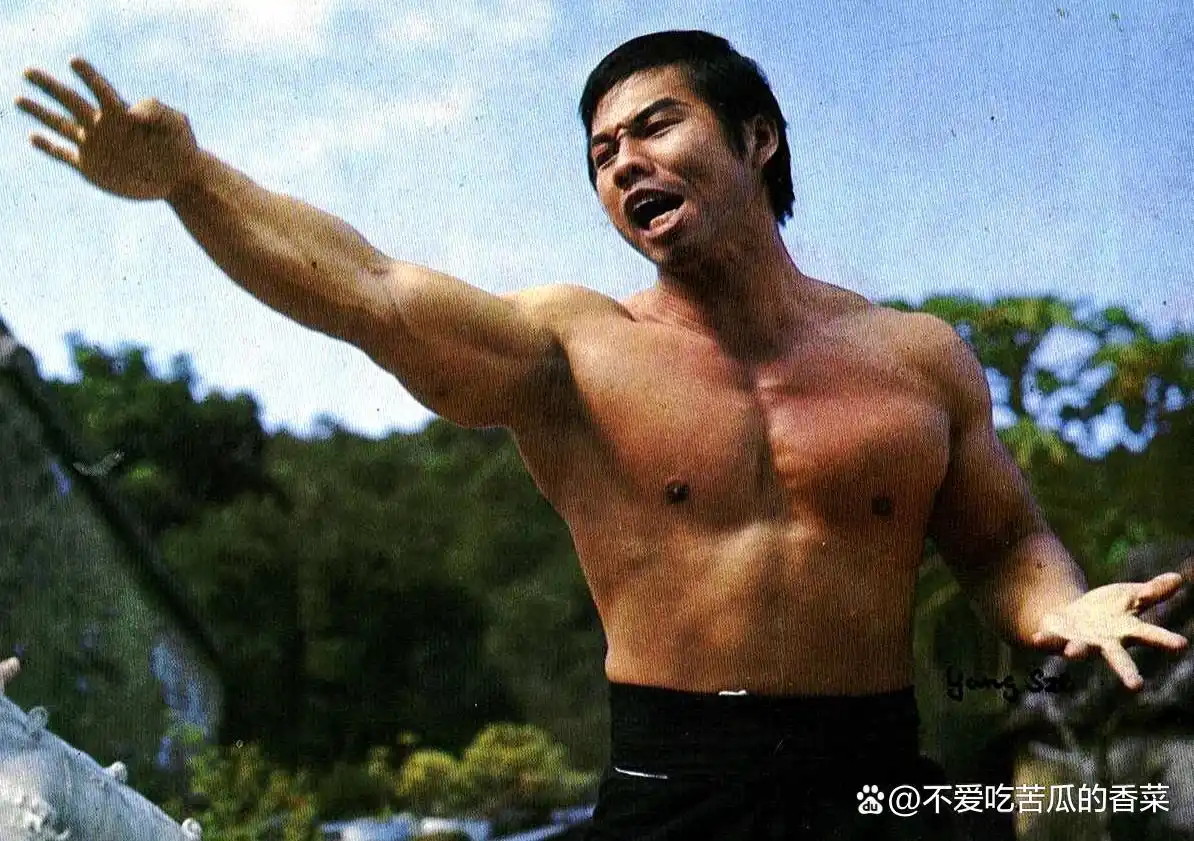 武术华语电影甄子丹大师演员表_武术华语电影甄子丹大师是谁_甄子丹:华语电影的武术大师