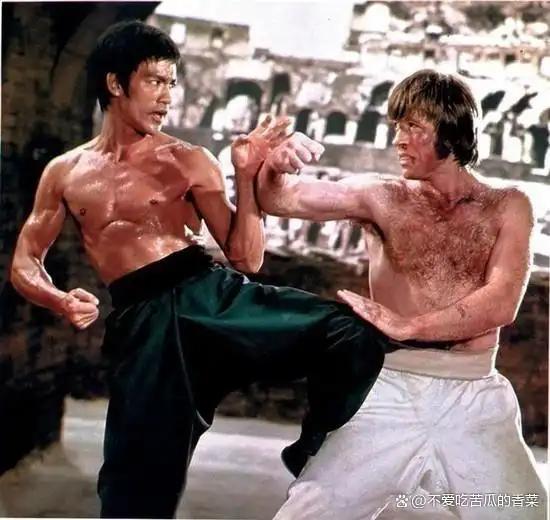 武术华语电影甄子丹大师是谁_武术华语电影甄子丹大师演员表_甄子丹:华语电影的武术大师