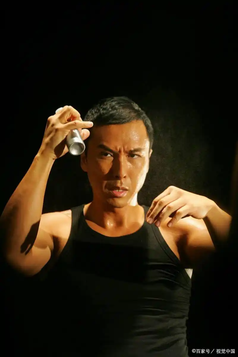 武术华语电影甄子丹大师是谁_武术华语电影甄子丹大师演员表_甄子丹:华语电影的武术大师