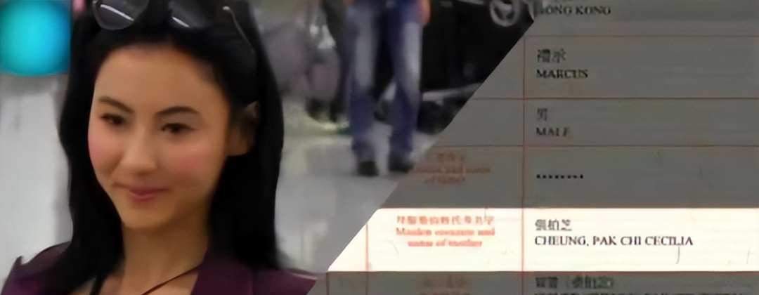 张柏芝红毯造型_张柏芝的时尚风格与红毯魅力_孟广美时尚盛典红毯视频