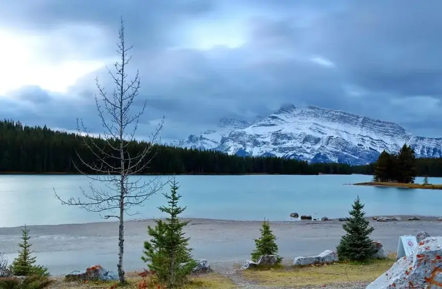 盈利app是真的吗_币信钱包APP的盈利优化技巧 | 如何提高交易盈利?_盈钱包提现