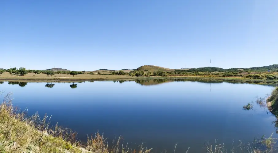 盈钱包提现_盈利app是真的吗_币信钱包APP的盈利优化技巧 | 如何提高交易盈利?