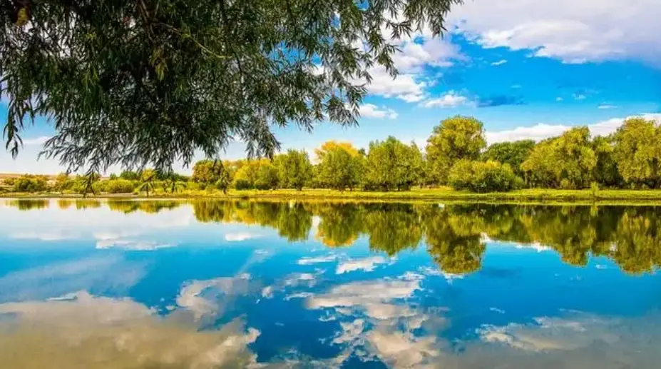 币信钱包APP的盈利优化技巧 | 如何提高交易盈利?_盈钱包提现_盈利app是真的吗