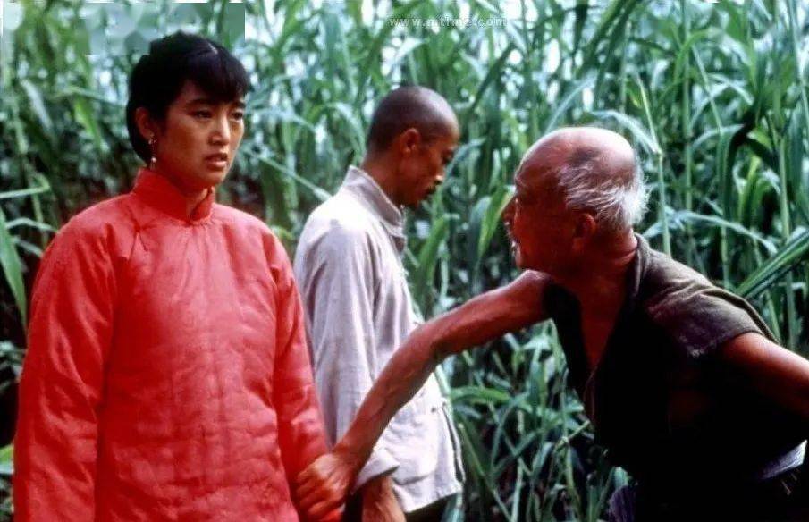 巩俐的魅力与银幕形象_巩俐影评_巩俐塑造角色