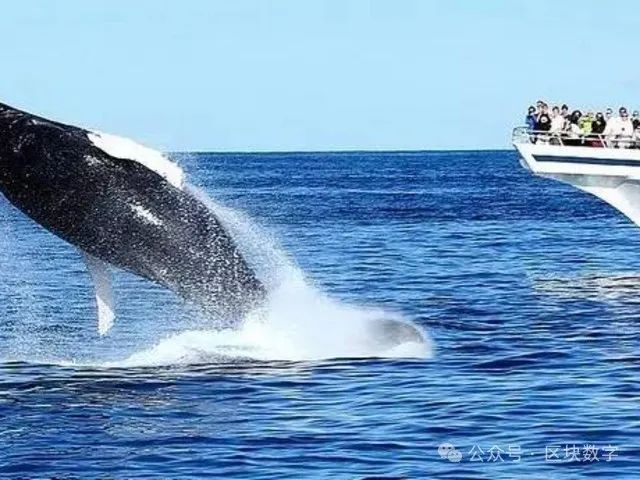 狗狗币区块奖励_参与狗狗币社区活动的机会与挑战_狗狗币玩法