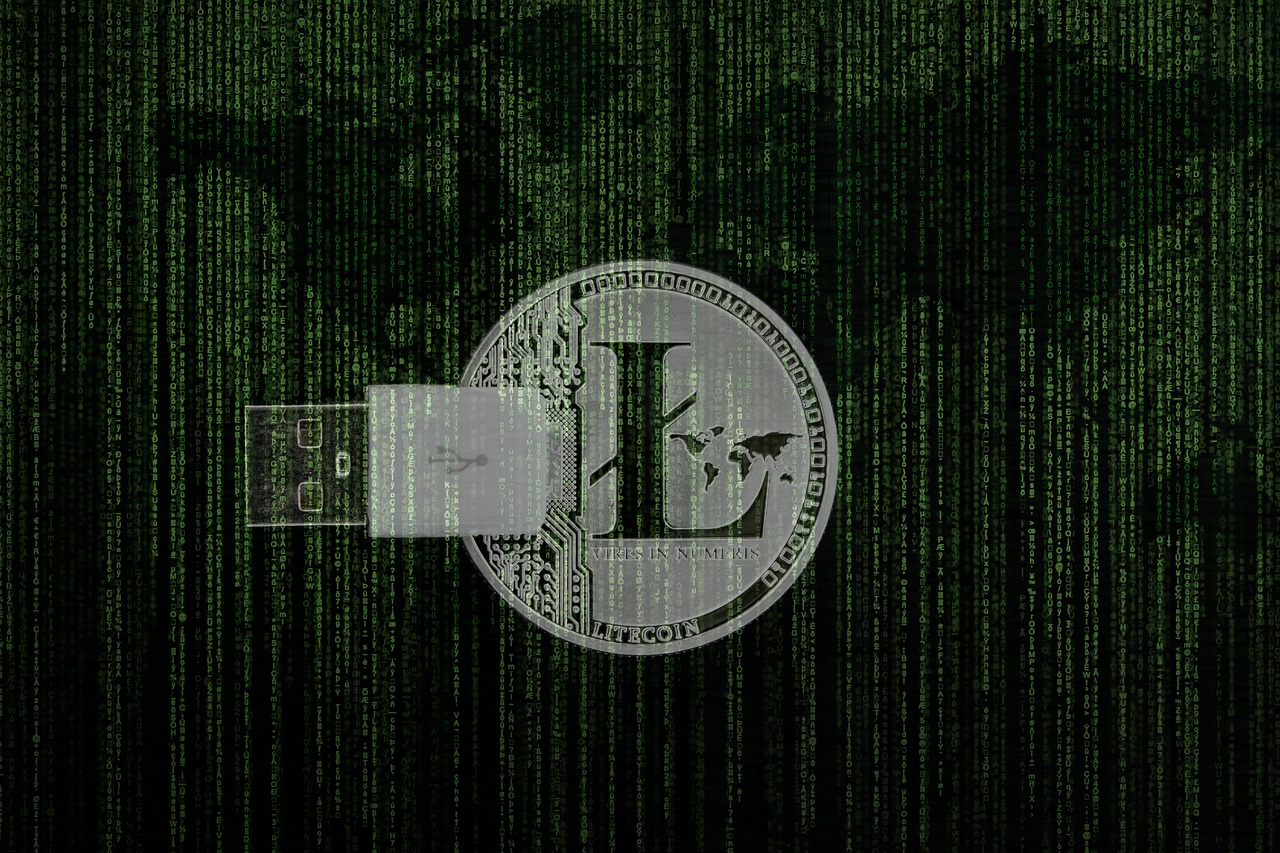 数字货币价格波动背后的因素与趋势分析，深度解读数字资产市场动态