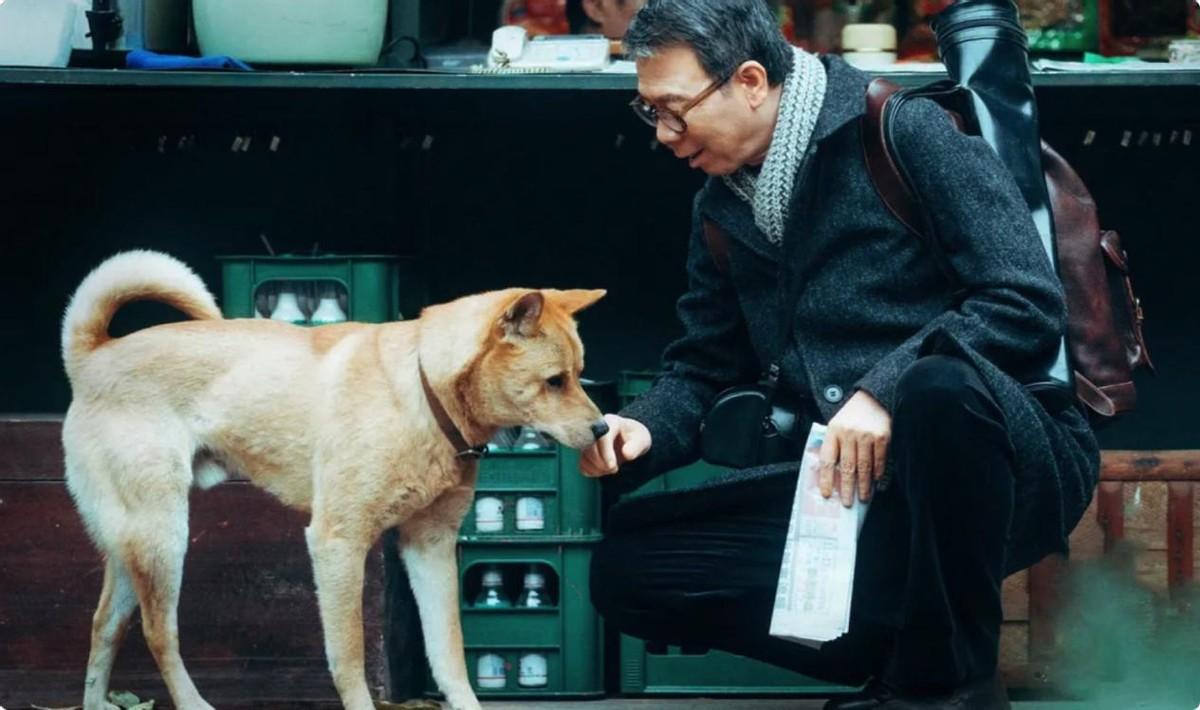 四大电影的导演个人风格展示_导演风格分析_电影导演阐述范文